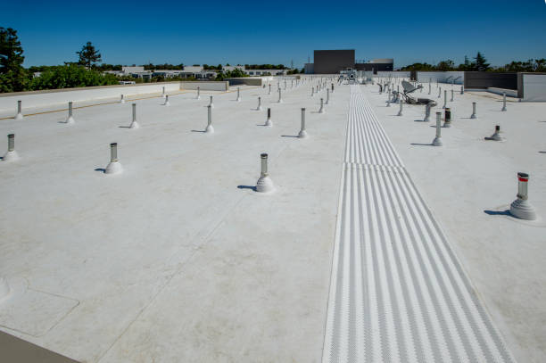 Best Roof Coating and Sealing  in Crownpoint, NM